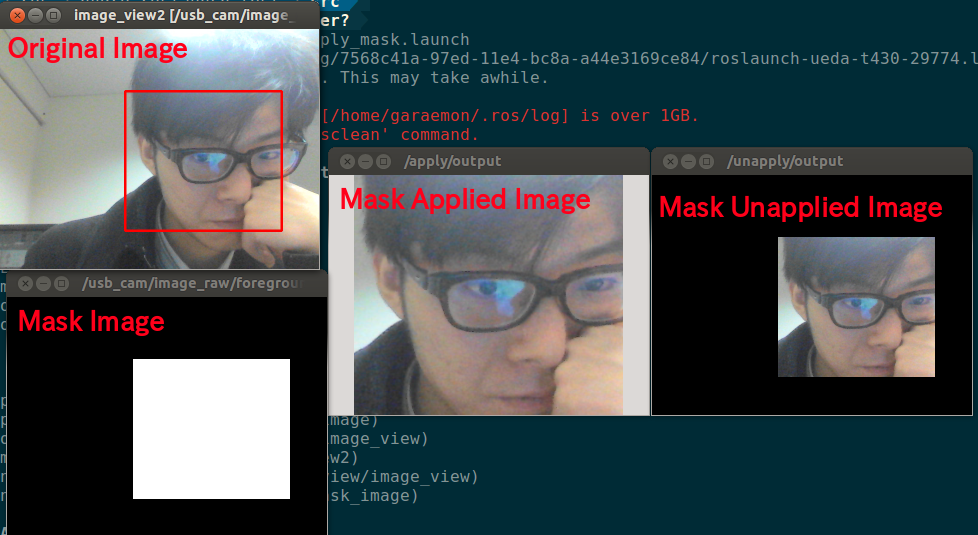 ../../_images/apply_unapply_mask_image.png