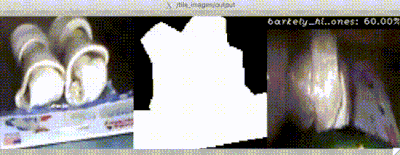 ../../_images/regional_feature_based_object_recognition.gif